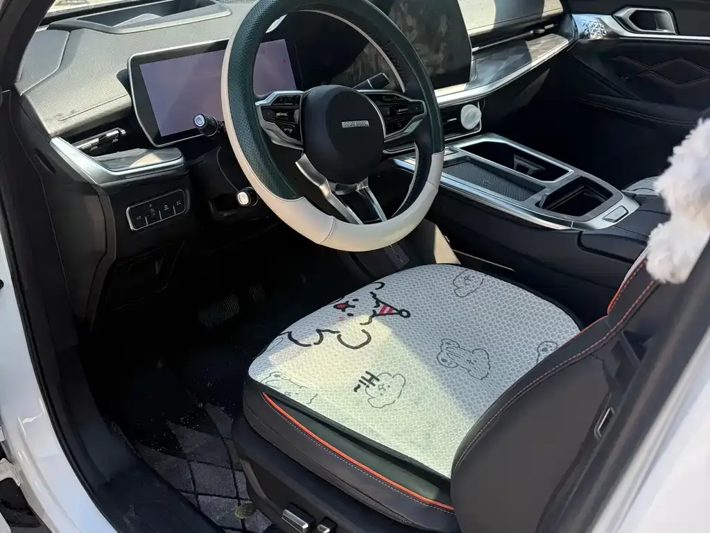 Haval Shenshou 2022 из CN, фото 4
