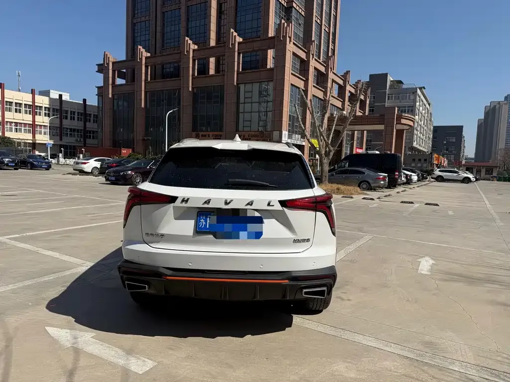 Haval Shenshou 2022 из CN, фото 5