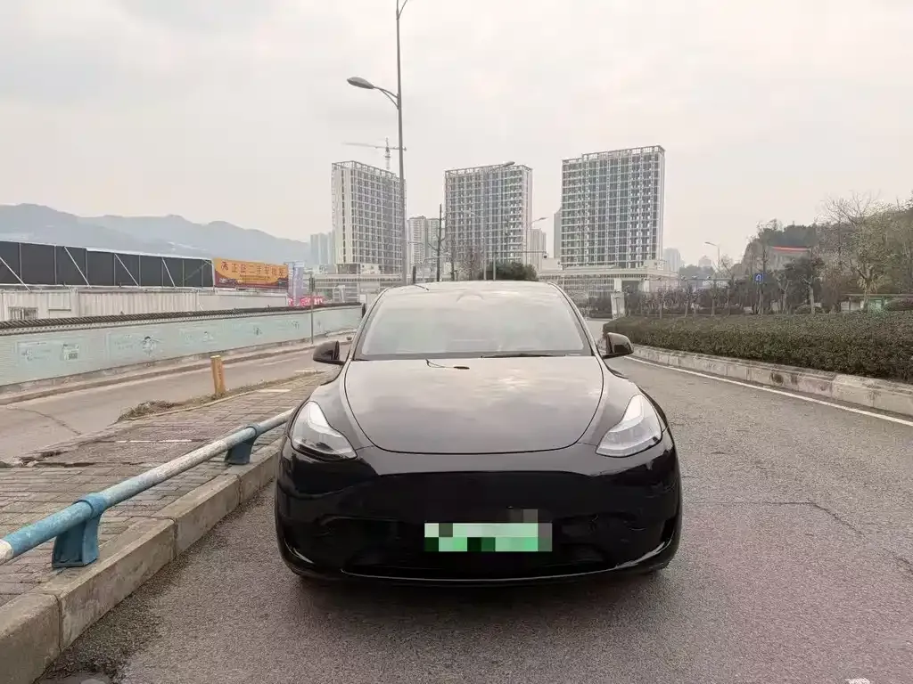 Tesla Model Y 2024 из CN, фото 3