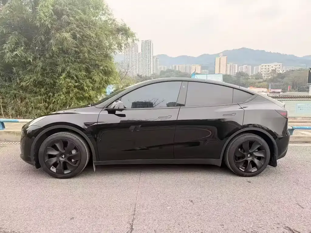 Tesla Model Y 2024 из CN, фото 7