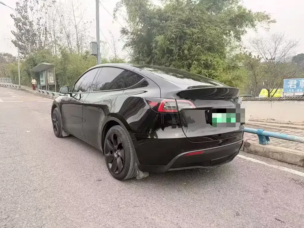 Tesla Model Y 2024 из CN, фото 9