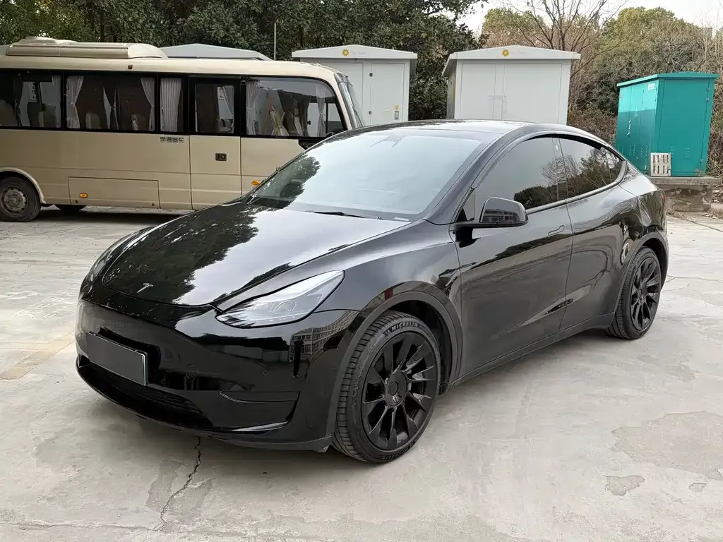 Tesla Model Y 2023 из CN, фото 1