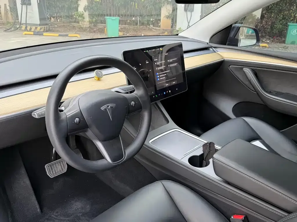 Tesla Model Y 2023 из CN, фото 8