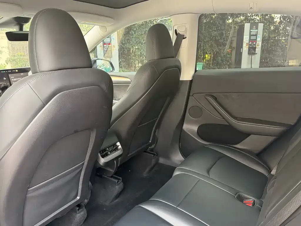 Tesla Model Y 2023 из CN, фото 5