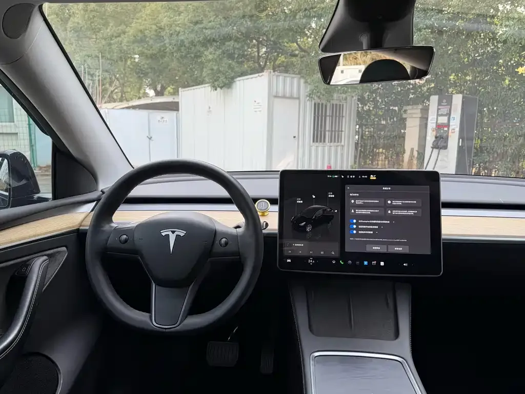 Tesla Model Y 2023 из CN, фото 2