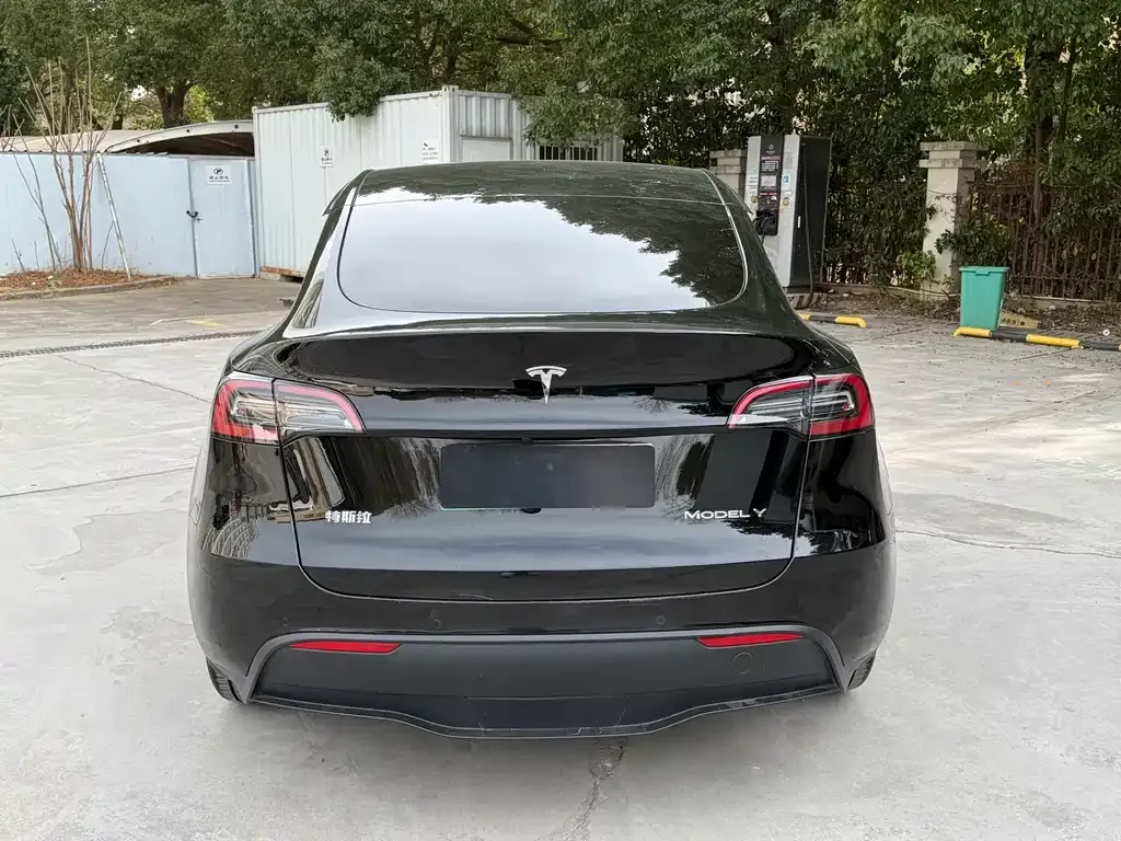 Tesla Model Y 2023 из CN, фото 9