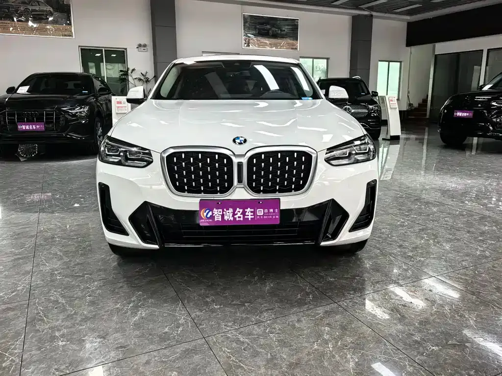 BMW X4 — фото 9