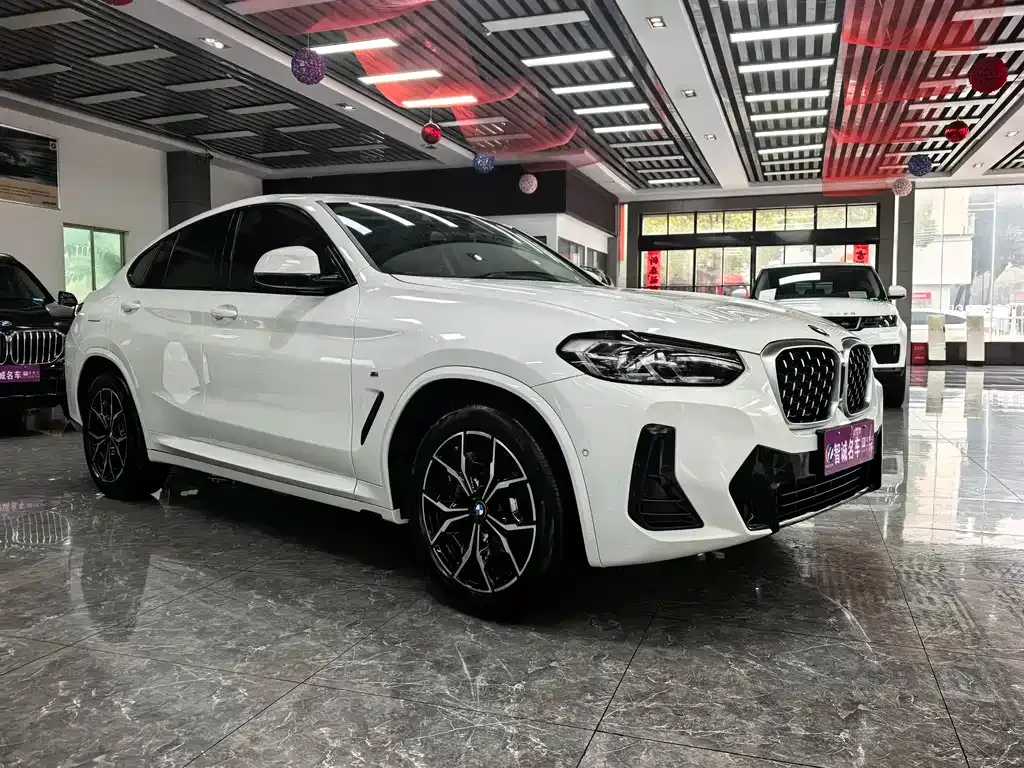 BMW X4 — фото 10