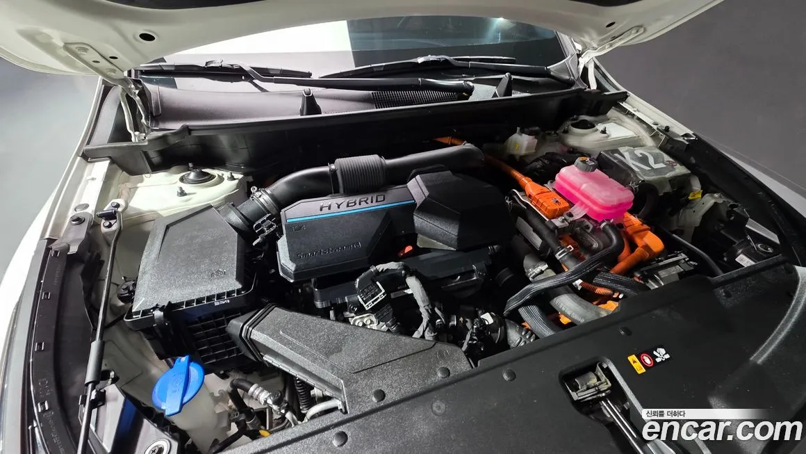 Kia Sportage — фото 3