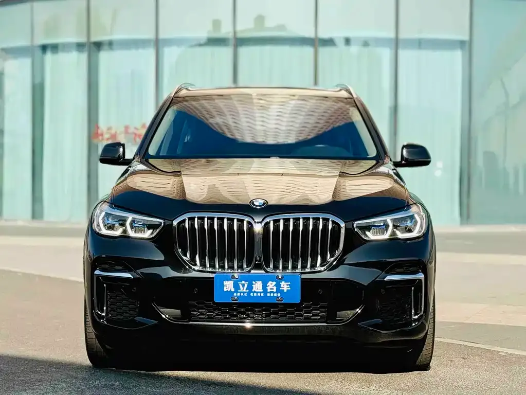 BMW X5 2023 из CN, фото 9