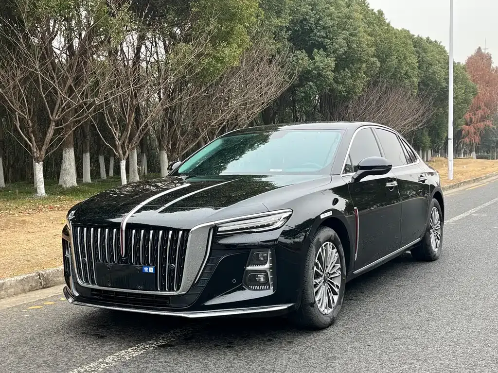 Hongqi H5 2024 из CN, фото 1