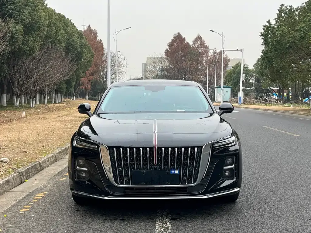 Hongqi H5 2024 из CN, фото 6