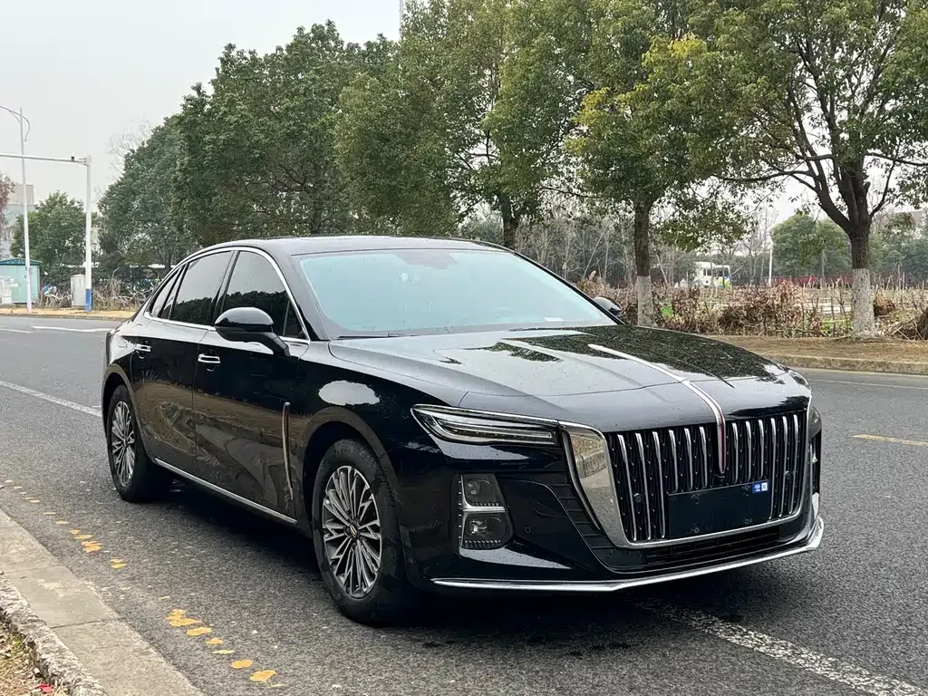 Hongqi H5 2024 из CN, фото 7