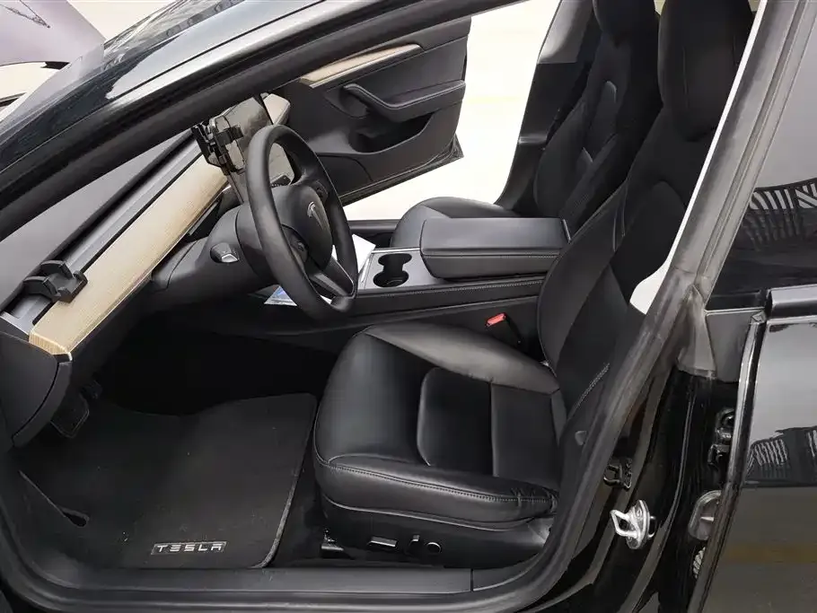 Tesla Model 3 2021 из CN, фото 4