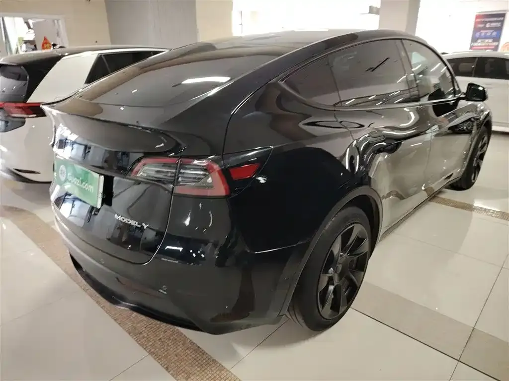Tesla Model Y 2023 из CN, фото 6