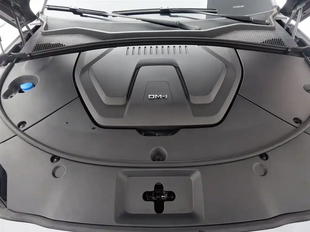 BYD PLUS New Energy — фото 10