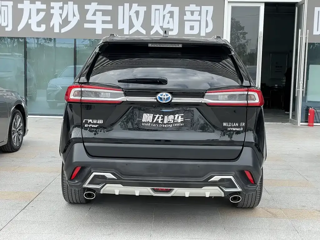 Toyota Wildlander 2023 из CN, фото 6