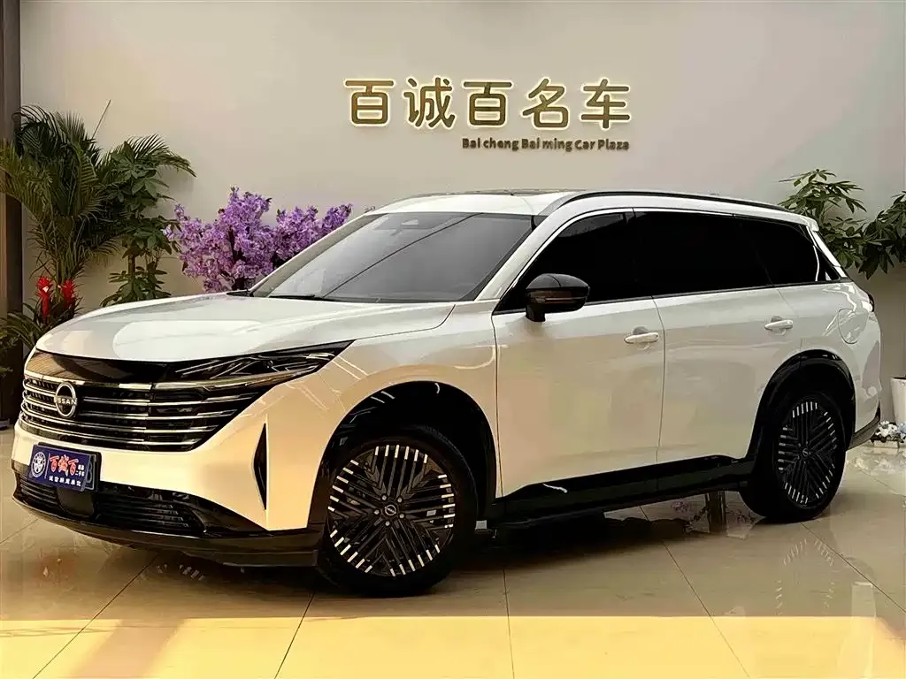 Nissan Teramont 2024 из CN, фото 1