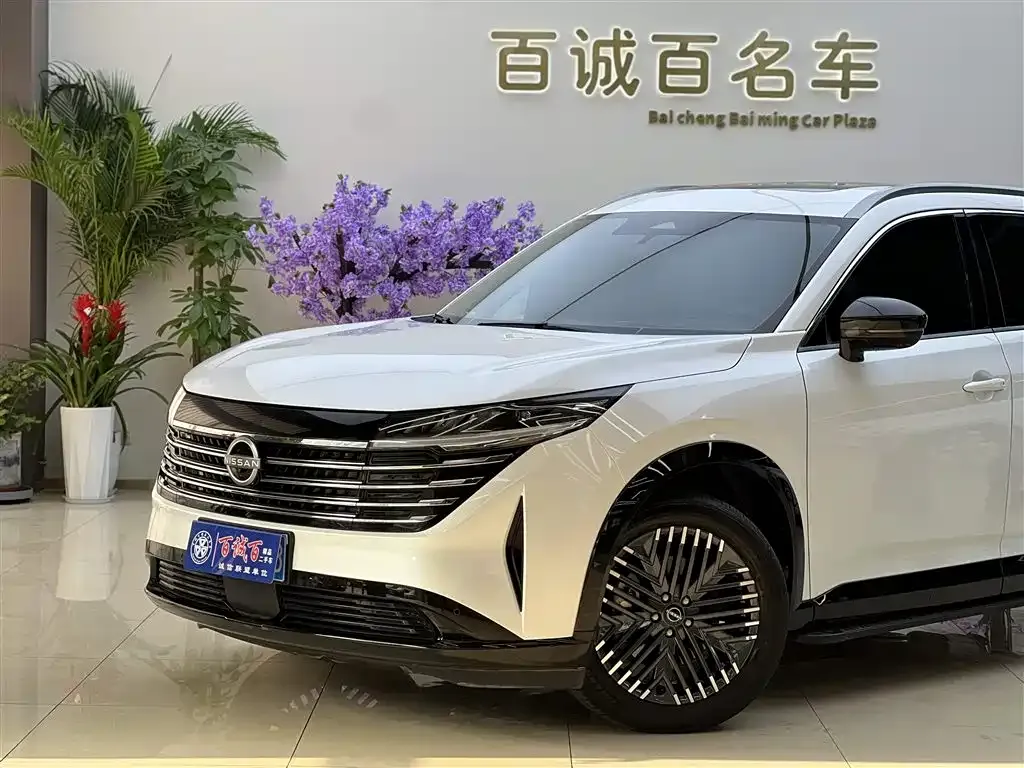 Nissan Teramont 2024 из CN, фото 8