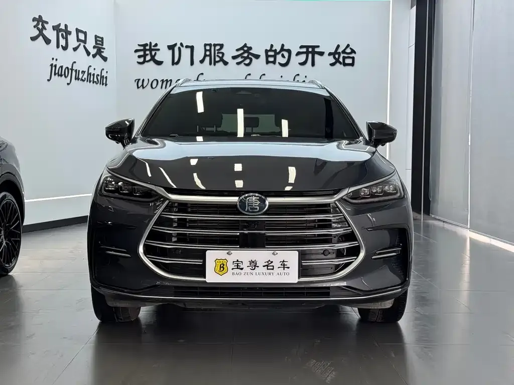 BYD Tang New Energy 2023 из CN, фото 1