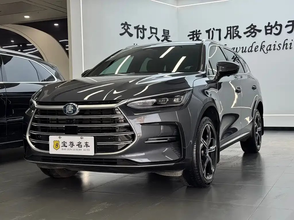 BYD Tang New Energy 2023 из CN, фото 9