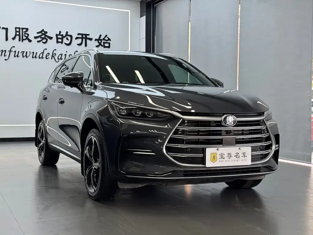 BYD Tang New Energy 2023 из CN, фото 4