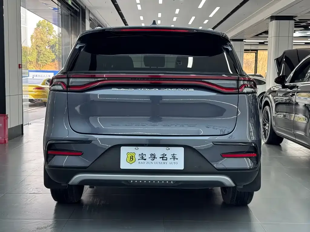 BYD Tang New Energy 2023 из CN, фото 3
