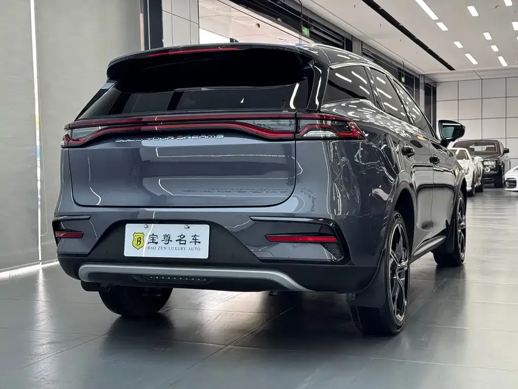 BYD Tang New Energy 2023 из CN, фото 7