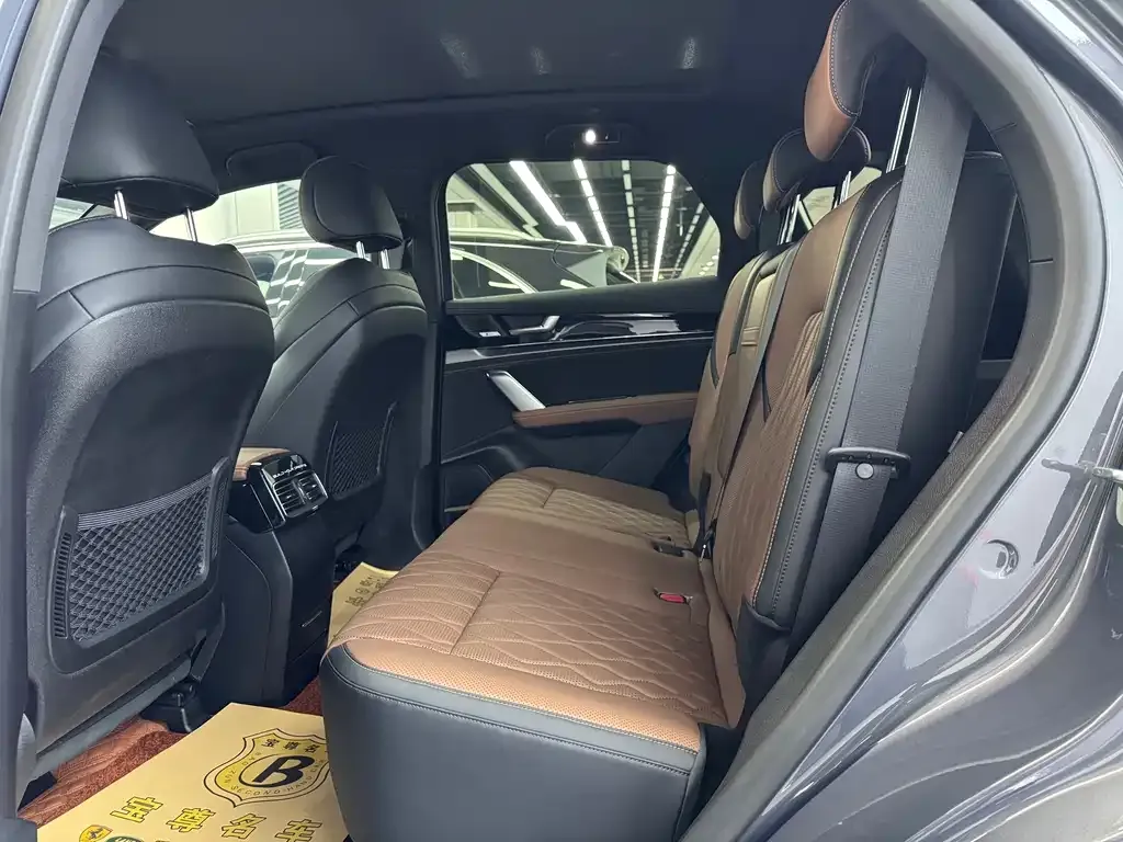 BYD Tang New Energy 2023 из CN, фото 2
