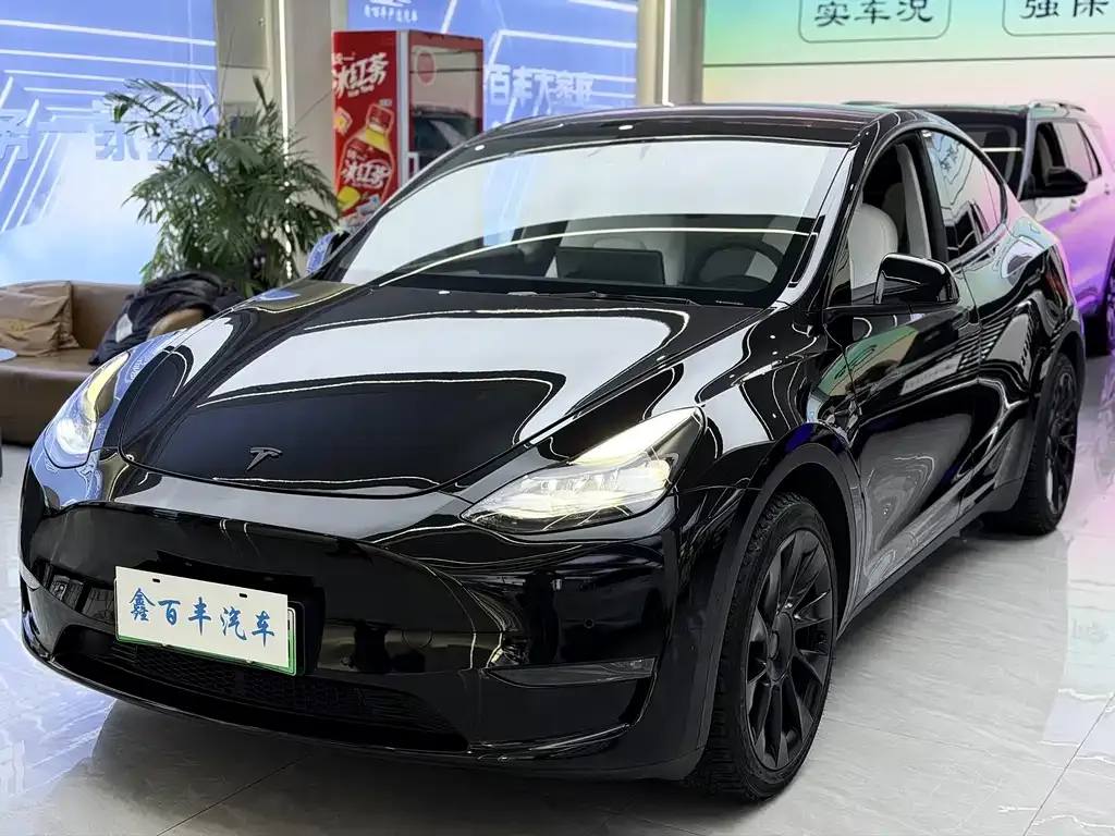 Tesla Model Y 2022 из CN, фото 1