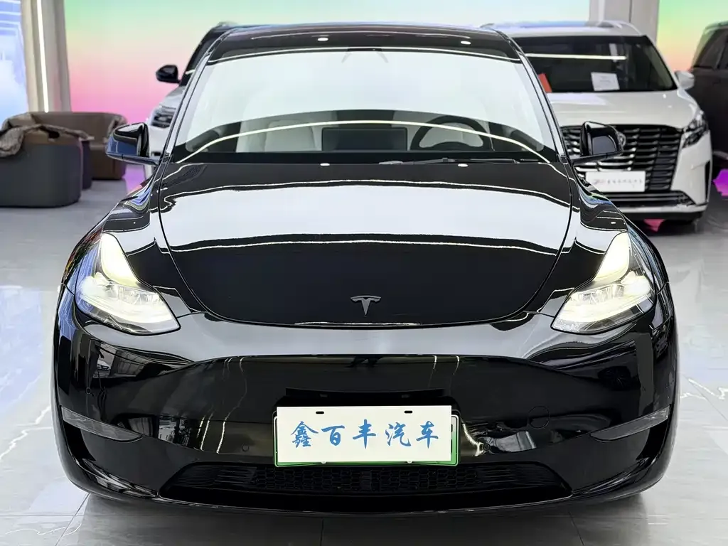 Tesla Model Y 2022 из CN, фото 6