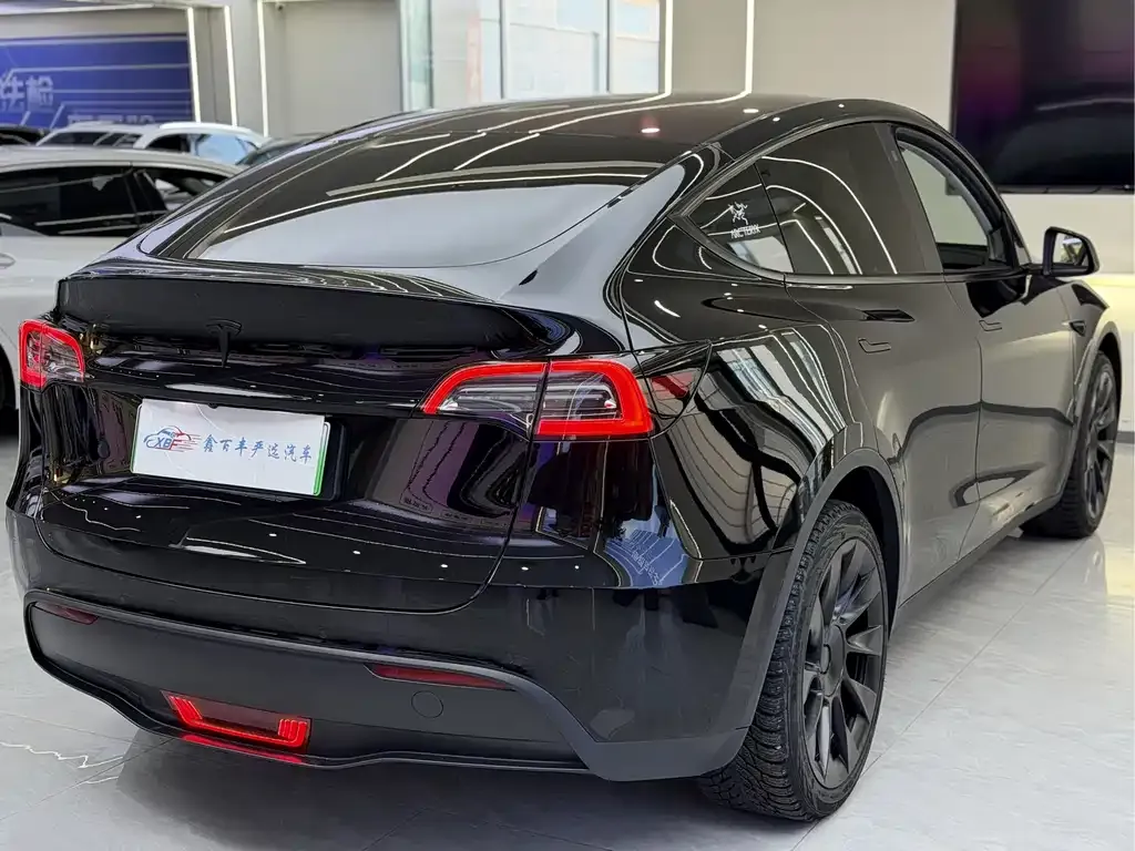 Tesla Model Y 2022 из CN, фото 9