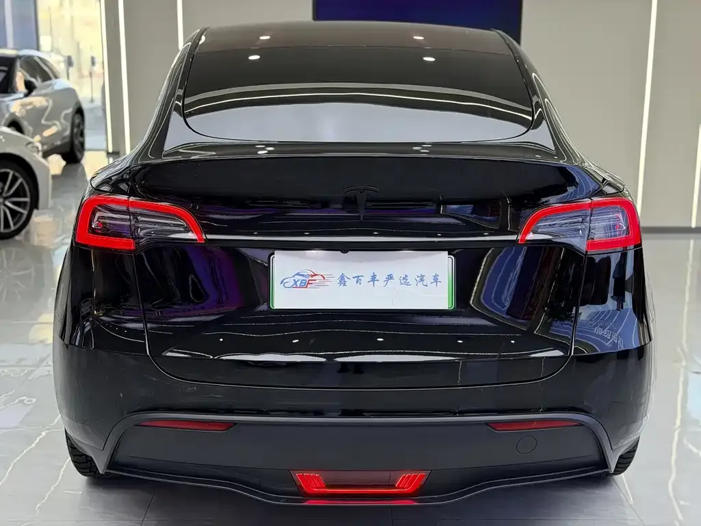 Tesla Model Y 2022 из CN, фото 5