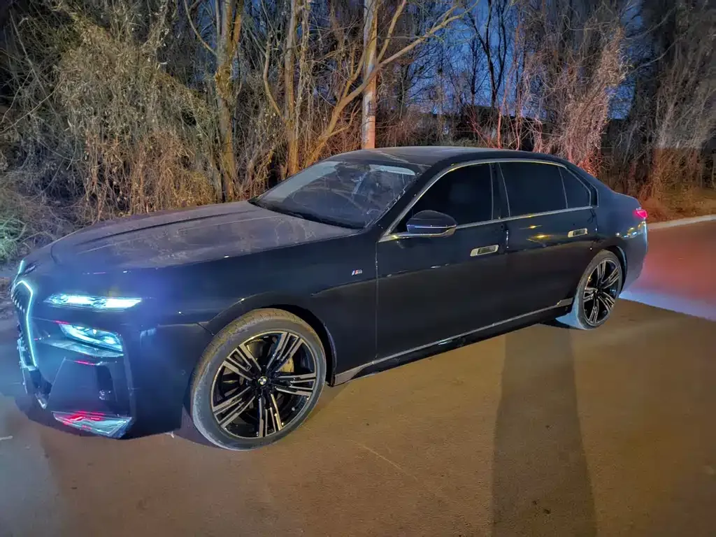 BMW 7 Series 2024 из CN, фото 5