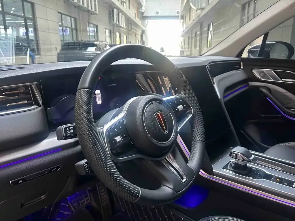 Hongqi HS7 2024 из CN, фото 10