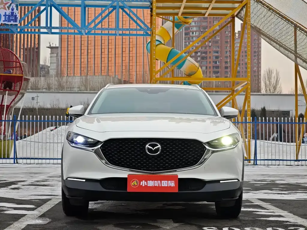 Mazda CX-30 2021 из CN, фото 3