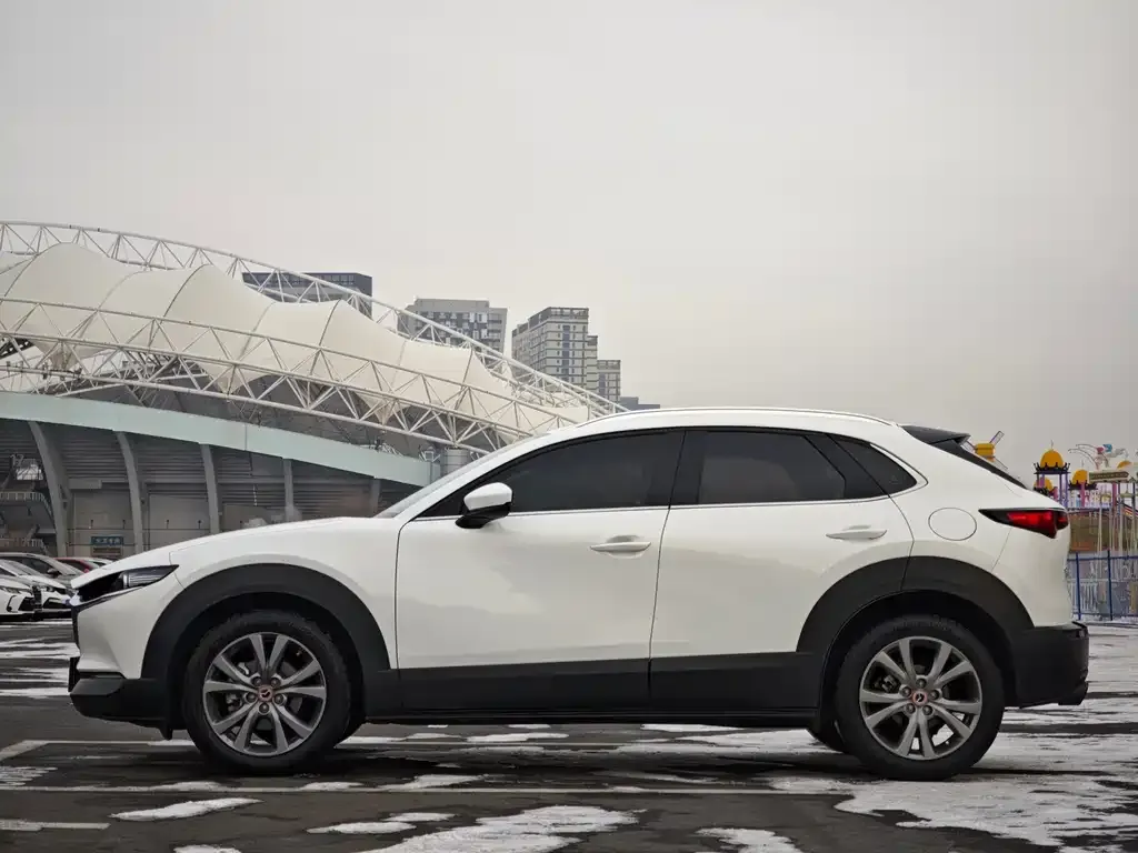 Mazda CX-30 2021 из CN, фото 7