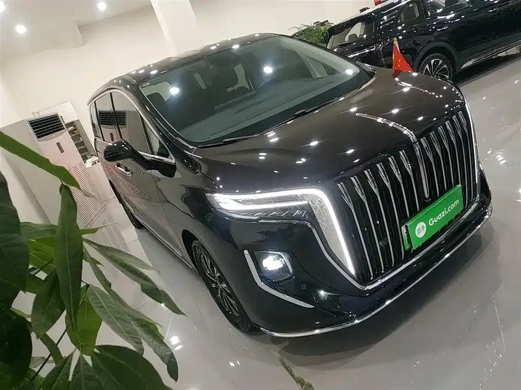 Hongqi HQ9 PHEV 2024 из CN, фото 10