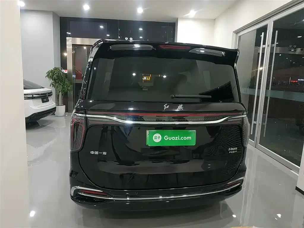 Hongqi HQ9 PHEV 2024 из CN, фото 9