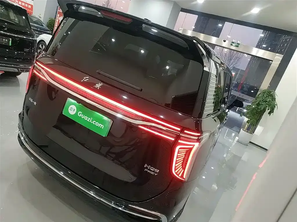 Hongqi HQ9 PHEV 2024 из CN, фото 8