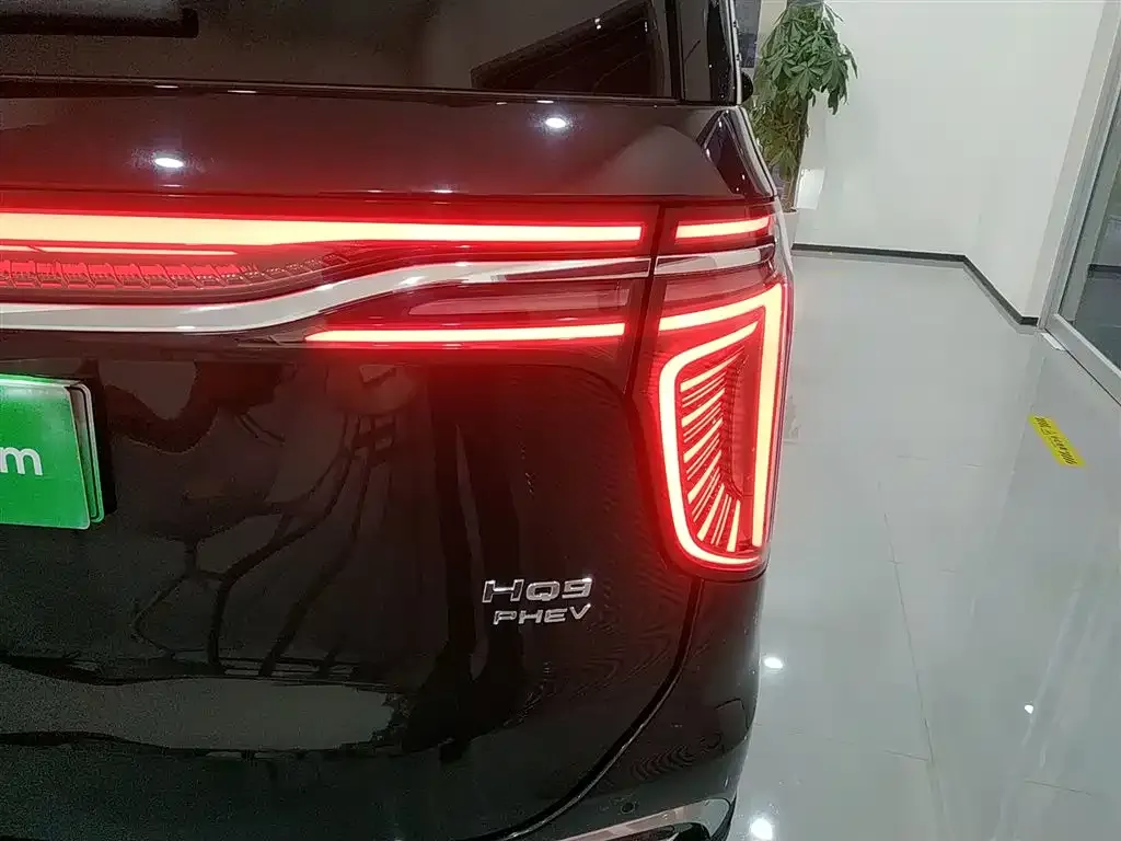 Hongqi HQ9 PHEV 2024 из CN, фото 4