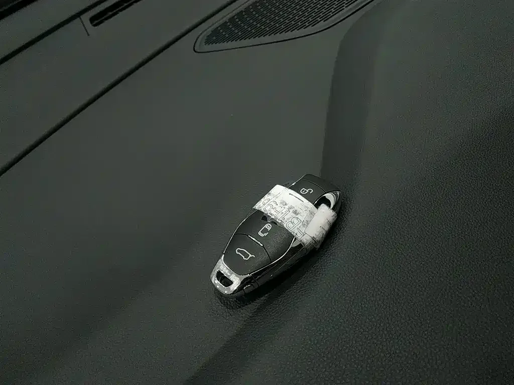 Hongqi HQ9 PHEV 2024 из CN, фото 6