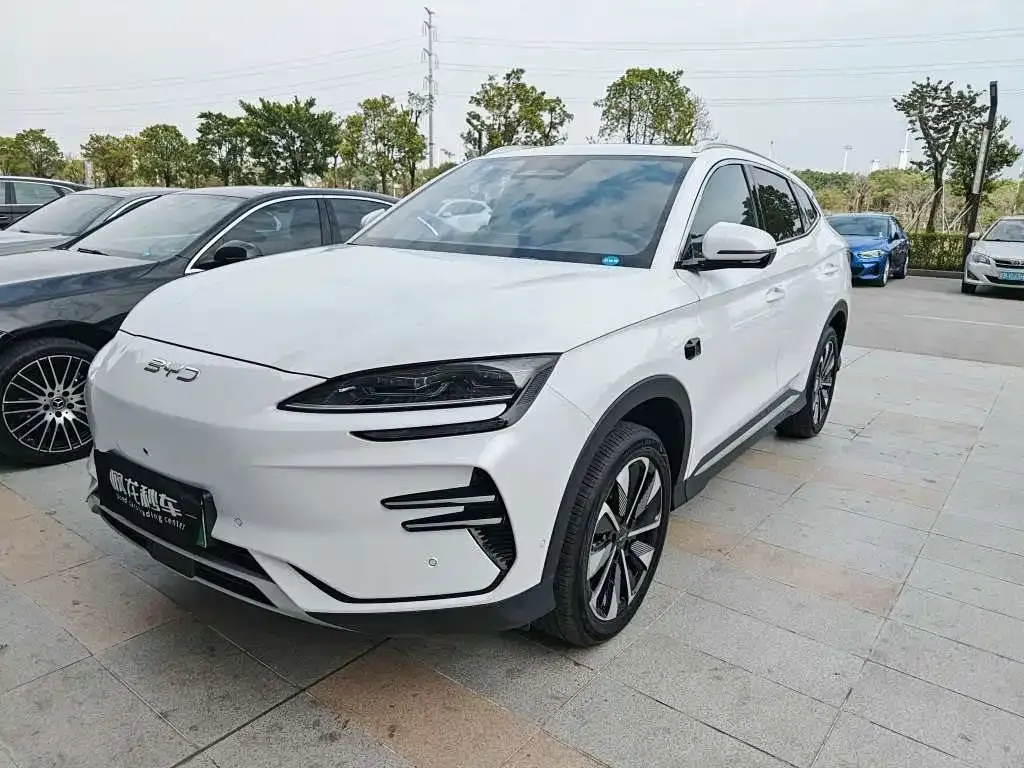 BYD PLUS New Energy — фото 1