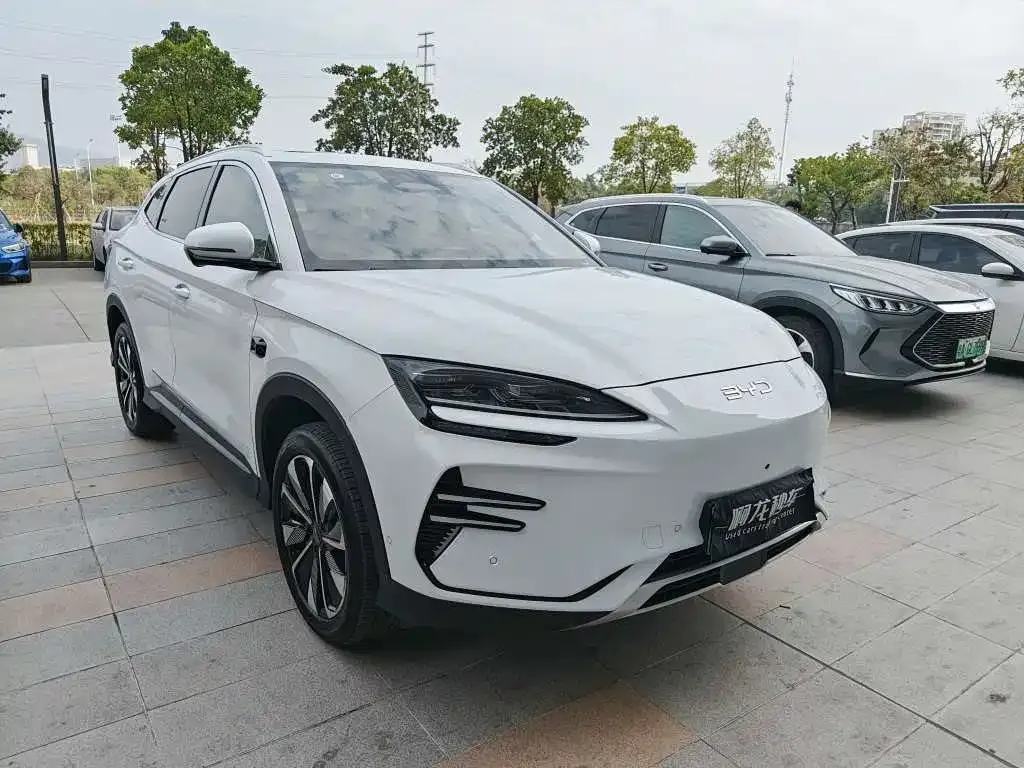 BYD PLUS New Energy — фото 8