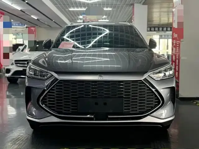 BYD PLUS New Energy — фото 3