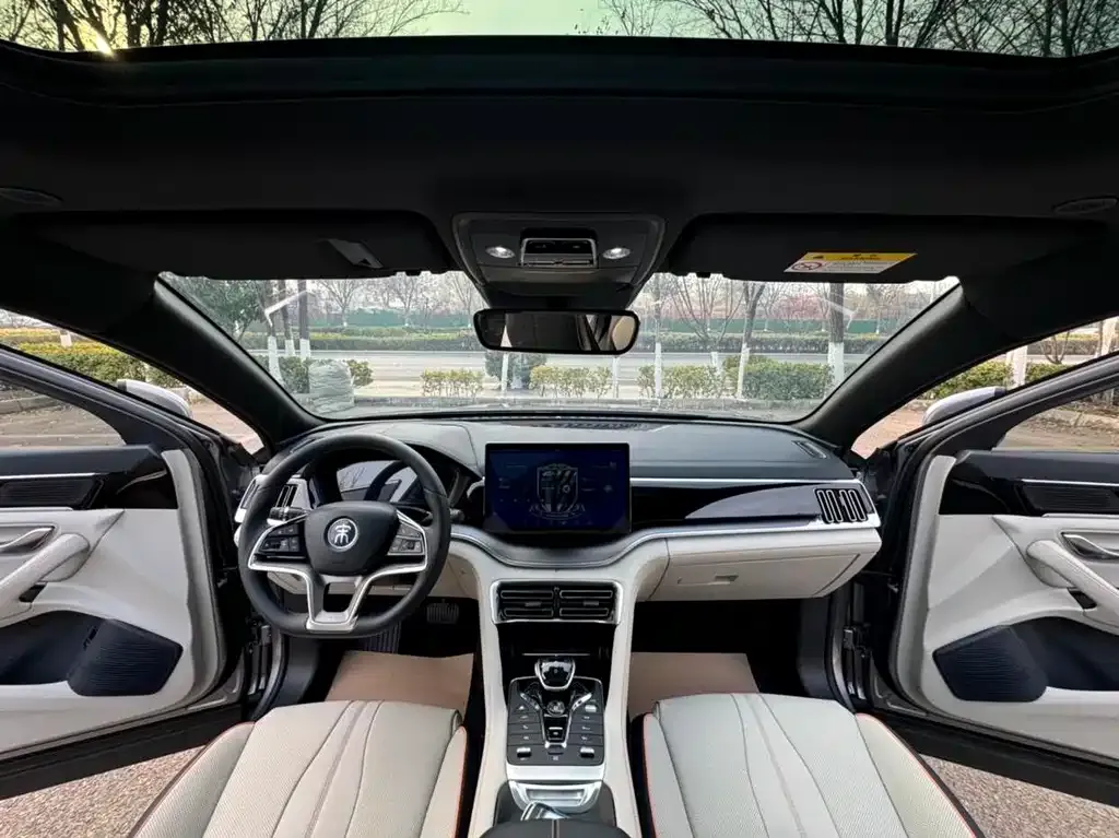 BYD PLUS New Energy — фото 9