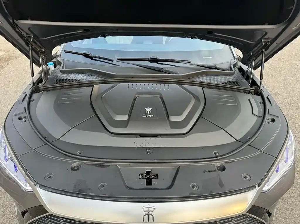 BYD PLUS New Energy — фото 8