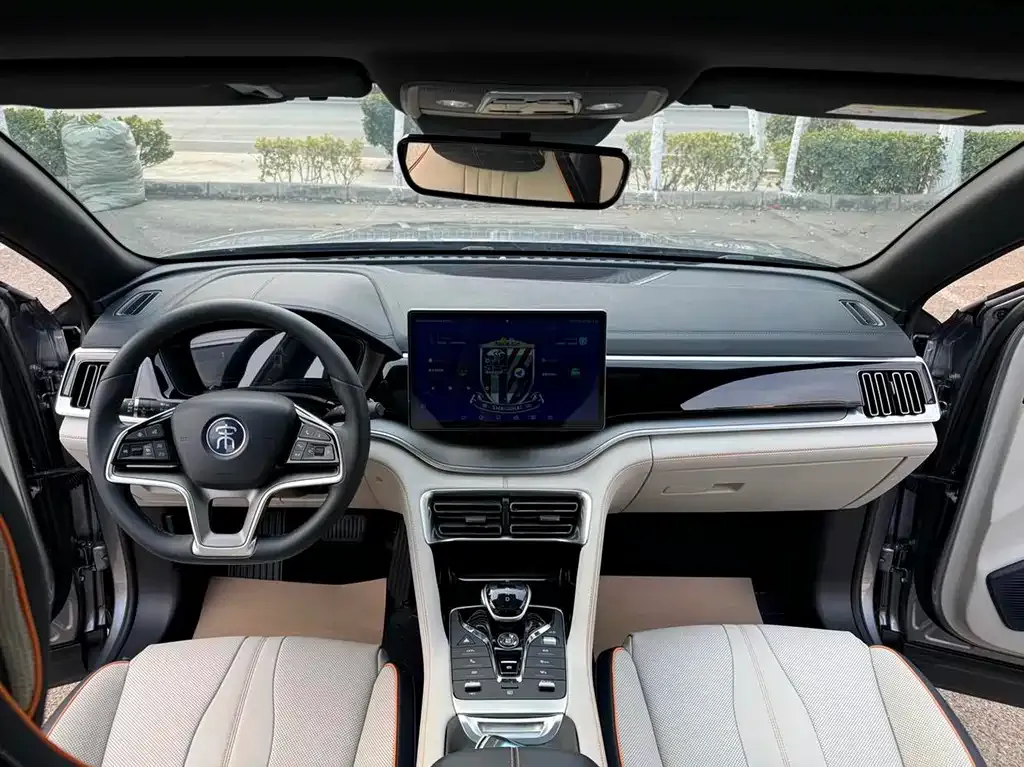BYD PLUS New Energy — фото 10