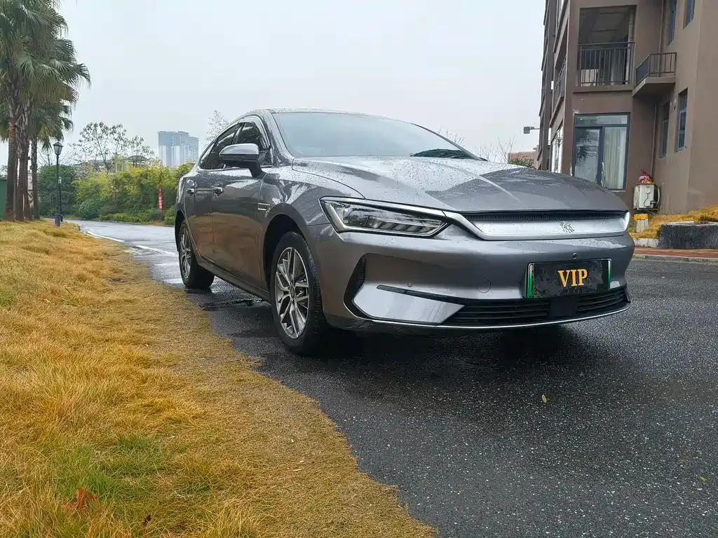 BYD Qin PLUS 2024 из CN, фото 1