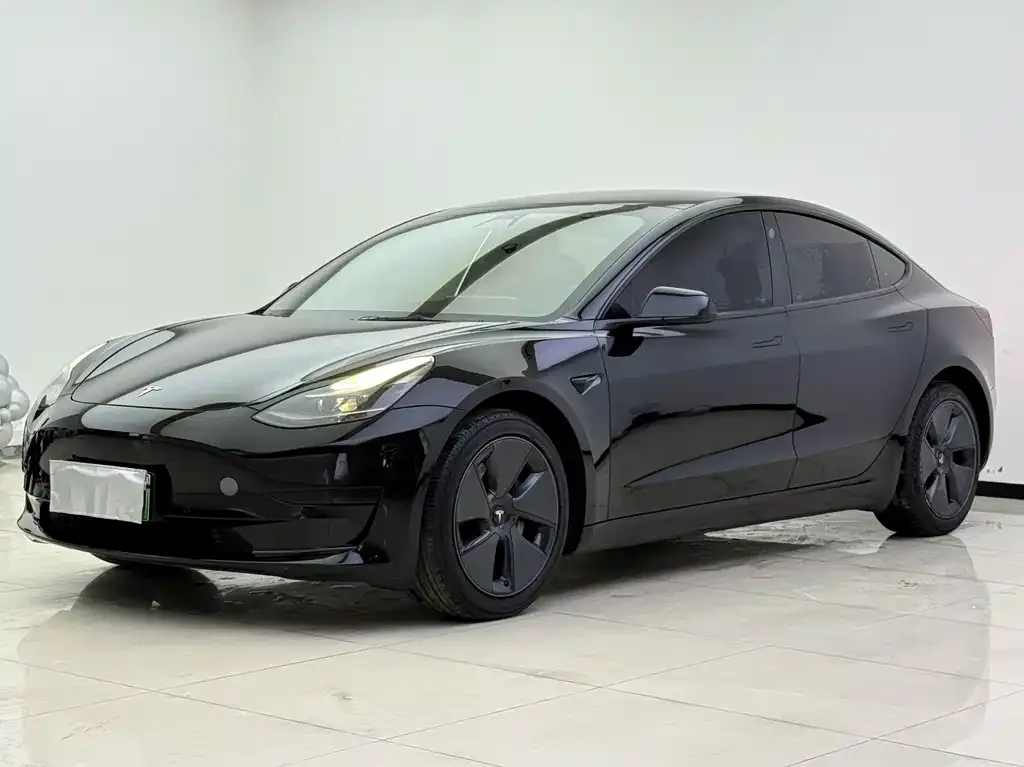 Tesla Model 3 2021 из CN, фото 1